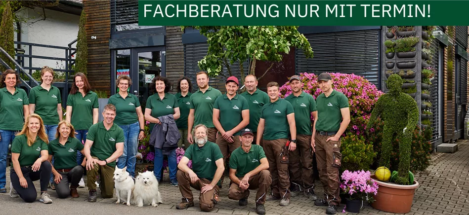 BERATUNG NUR MIT TERMIN !.png